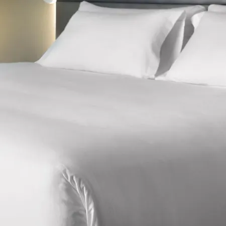 Hotel Nh De La Gare Bolonia