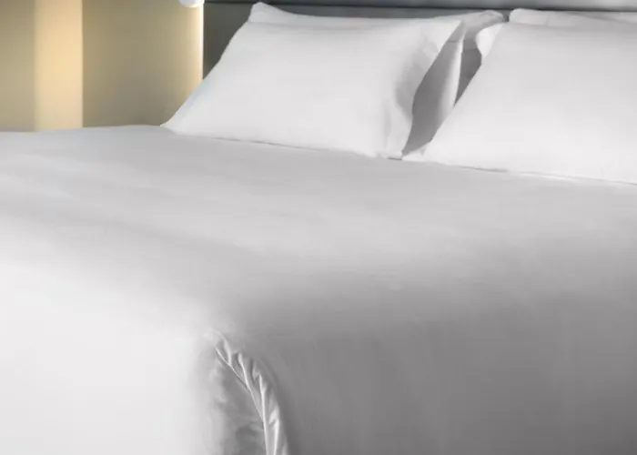 Hotel Nh De La Gare Bolonia